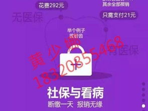 深圳社保代繳與學歷教育咨詢服務指南